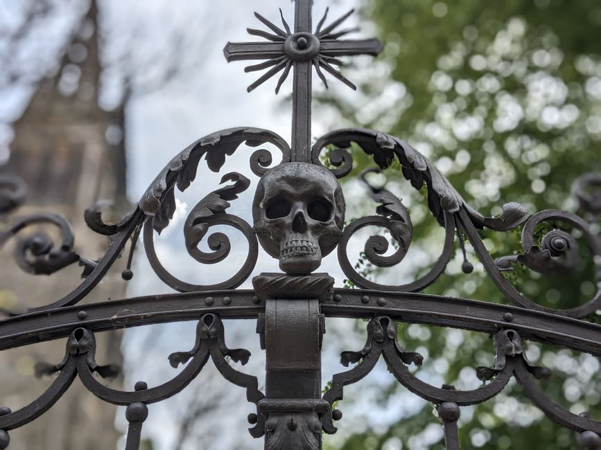Close-up of an ornate wrought iron gate with decorative detail, outdoors.