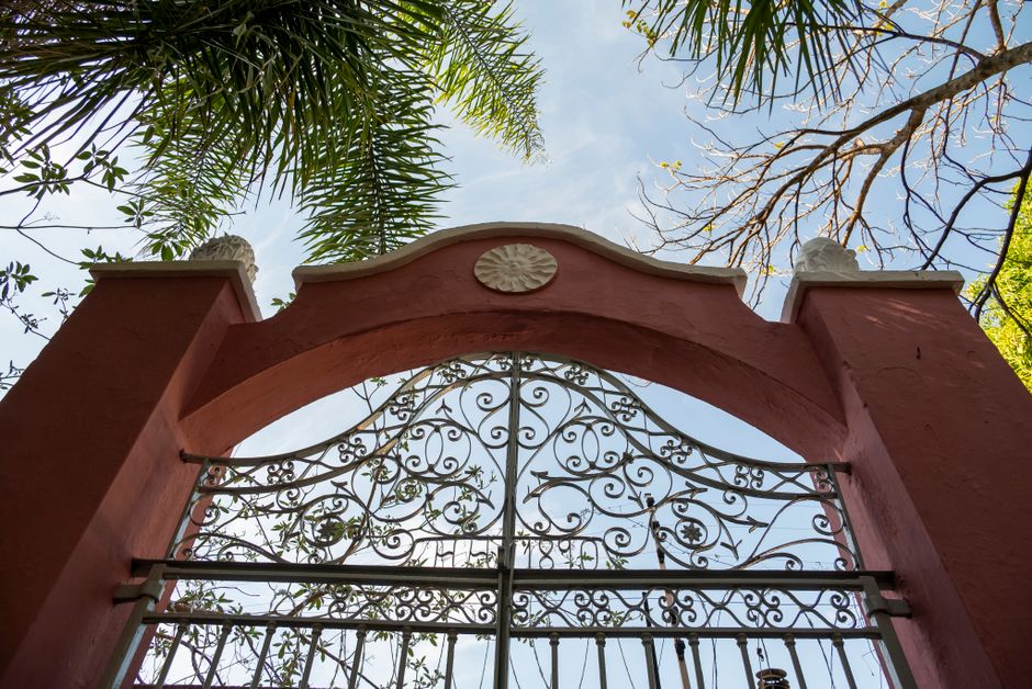 Ornate iron gate framed by palm trees under a blue sky.